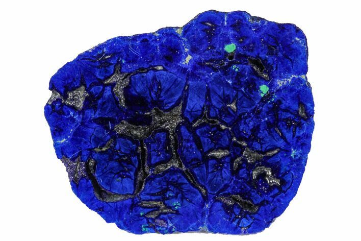 Vivid Blue, Cut/Polished Azurite Nodule - Siberia #175540